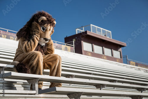 Sad and dejected sports team mascot laments the loss of the game. photo