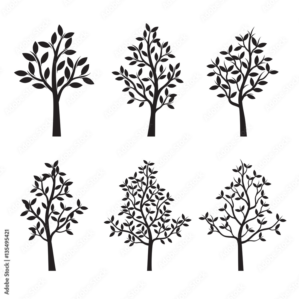 Obraz premium Set black Trees and Leafs. Vector Illustration.