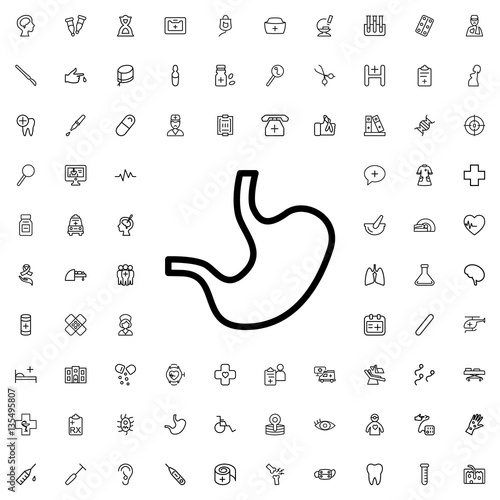 stomach icon illustration