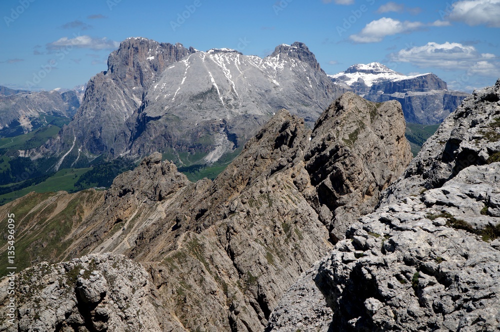 Rosszähne mit Plattkofel im Hintergrund / Seiser Alm / Südtirol 