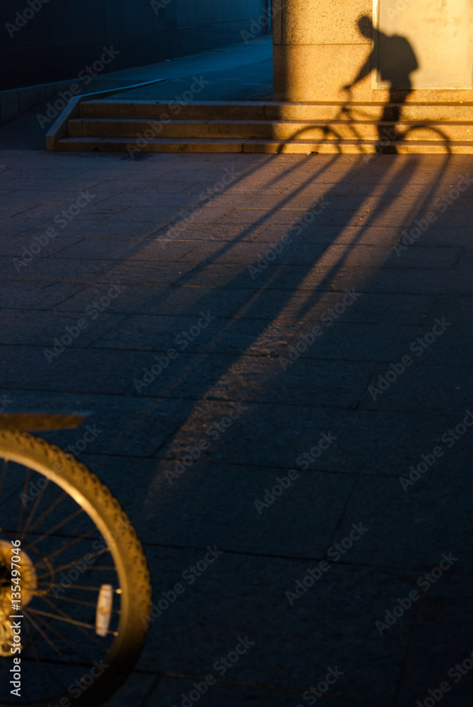 Naklejka premium the long shadow of a cyclist