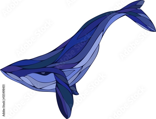 Blue whale in vector
