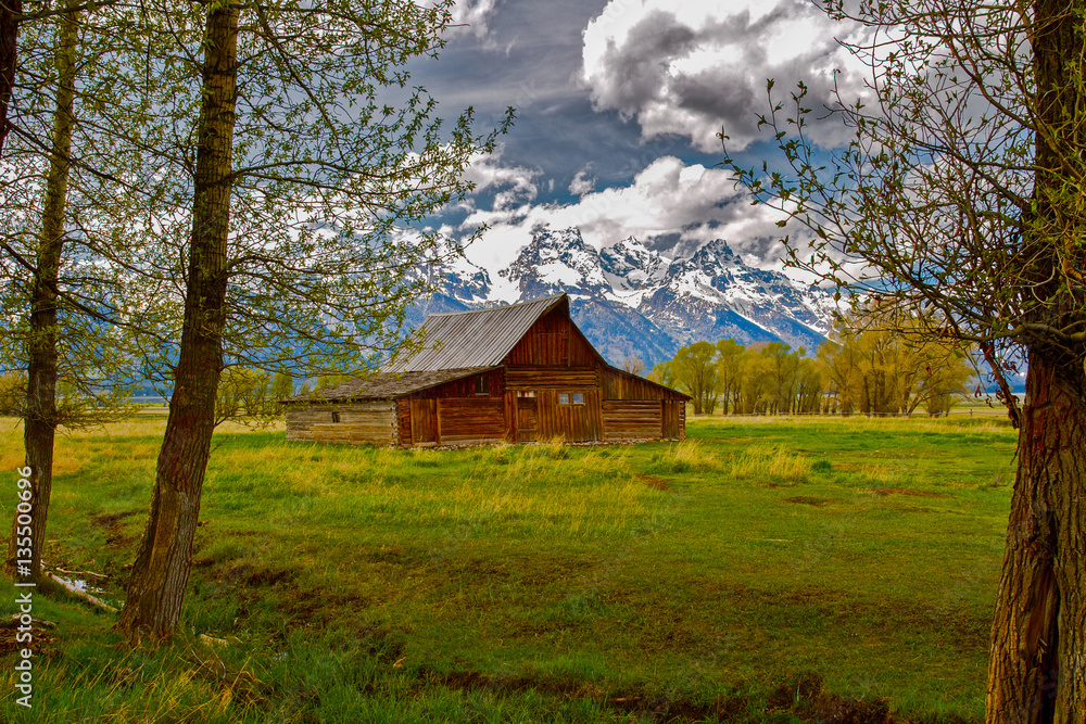 Fototapeta premium Barn in the Grand Tetons