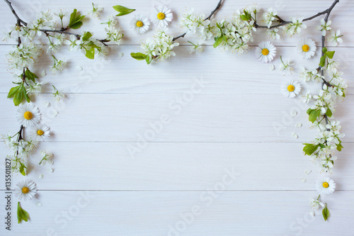 Fototapeta Naklejka Na Ścianę i Meble -  Background with flowering branches of plums, cherries,  daisies