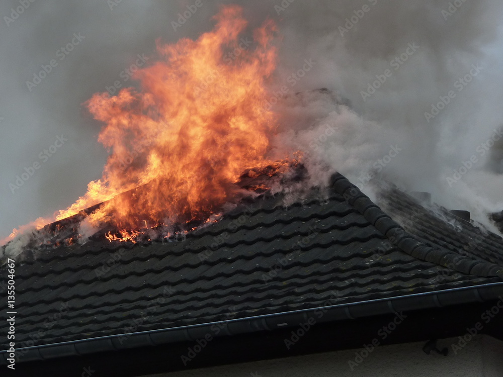 custom made wallpaper toronto digitalDachbrand