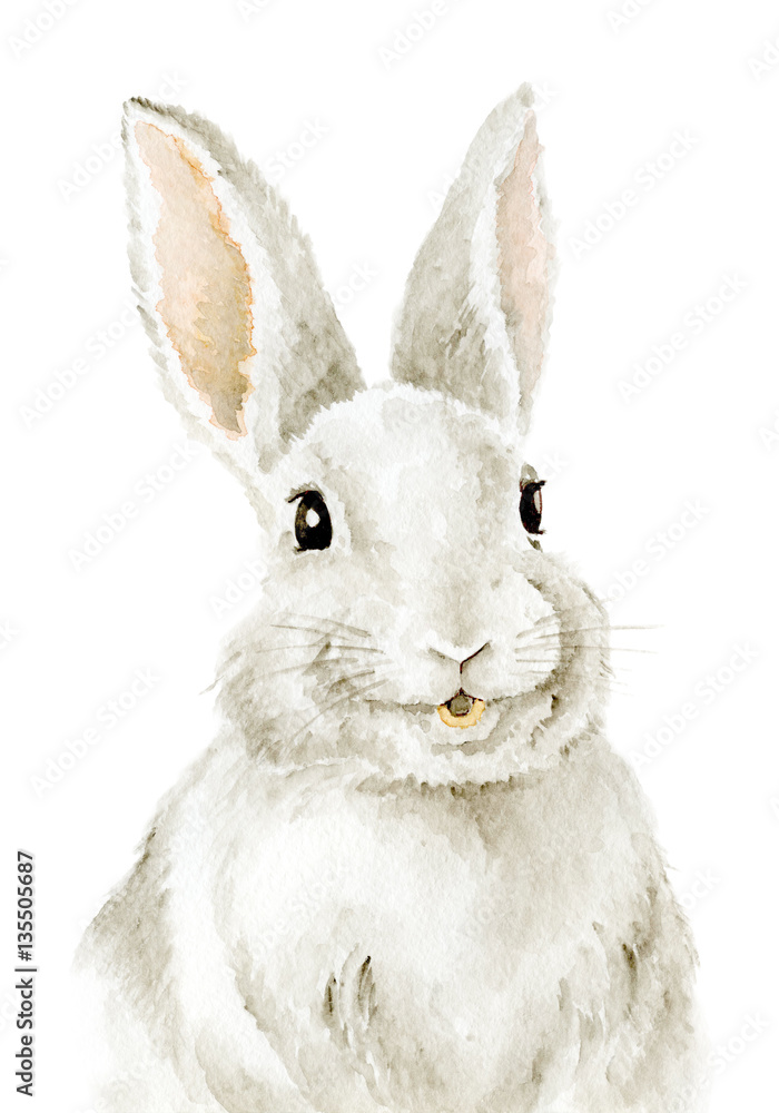Obraz premium Easter Bunny. Farm animals. Watercolor drawing. Cute Illustration