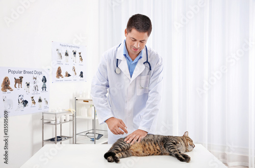 Handsome young veterinarian...