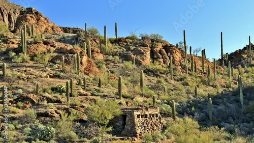 Old stone building located in the mountains of southwest Arizona surrounded by saguaro cactus under beautiful blue skies.