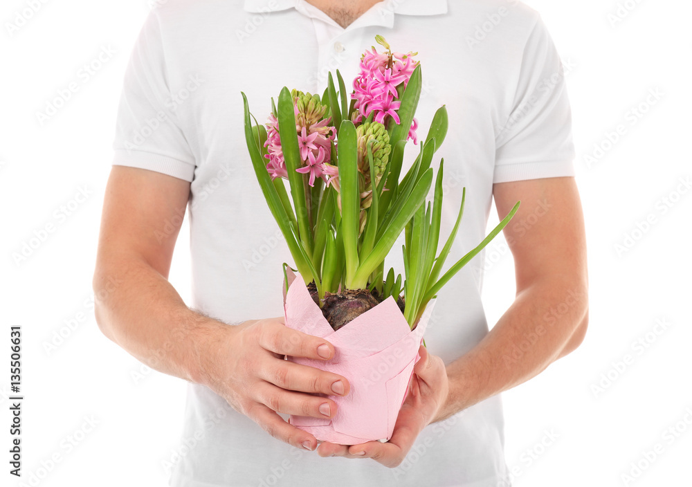 Fototapeta premium Male florist holding house plant isolated on white background