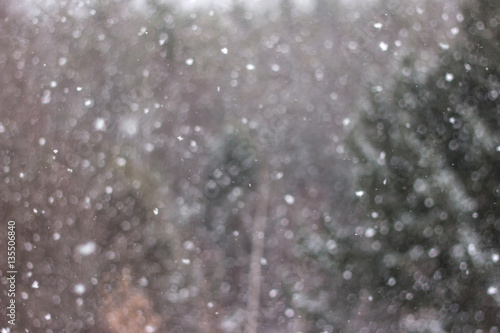 Snow on Blurred Background 