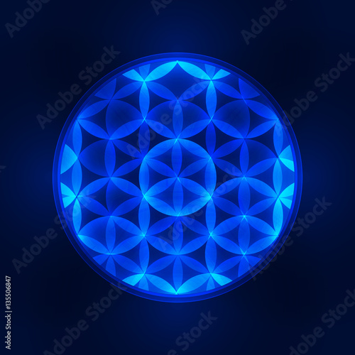 abstract vector background with consecrated symbols of sacred geometry. Flower of Life