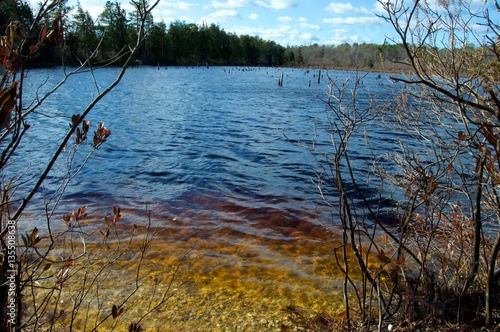 Cedar Creek at Double Trouble State Park, New Jersey 