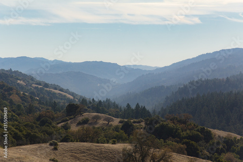Hazy morning in a canyon in Monte Bello preserve in the mountains above Palo Alto