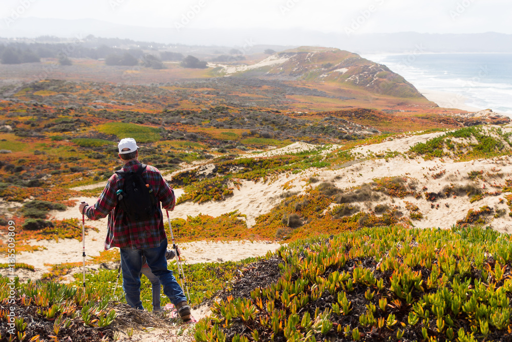 Man in hat and plaid shirt wearing snowshoes walks across the sand dunes and plants of the Monterey shoreline Man in hat and plaid shirt wearing snowshoes walks across the sand dunes and plants of the Monterey shoreline