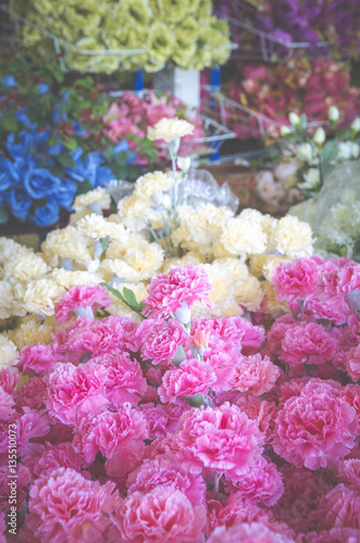 rose flower use for Valentine's Day, vintage retro filter image