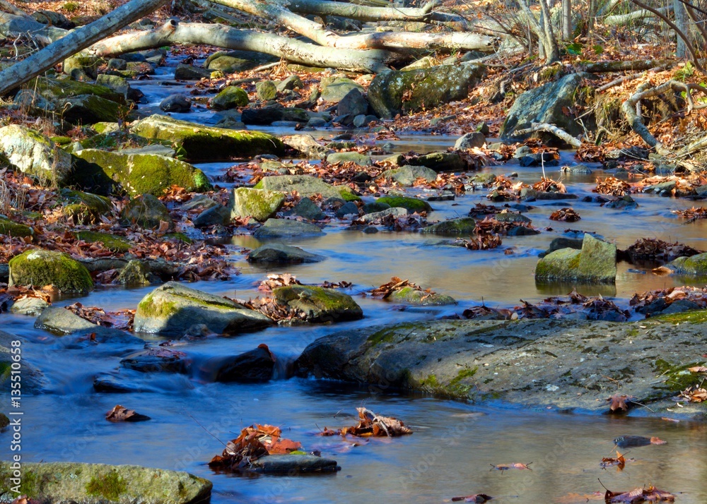 Waterfalls and Streams in the Fall at Hacklebarney Park