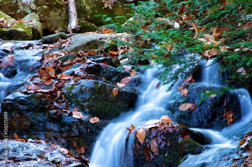 Water Falls and Streams at Hacklebarney State Park