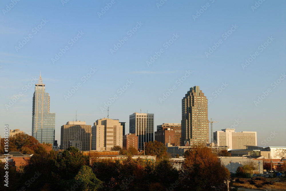 Raliegh North Carolina Downtown Skyline in the Late Afternoon Su
