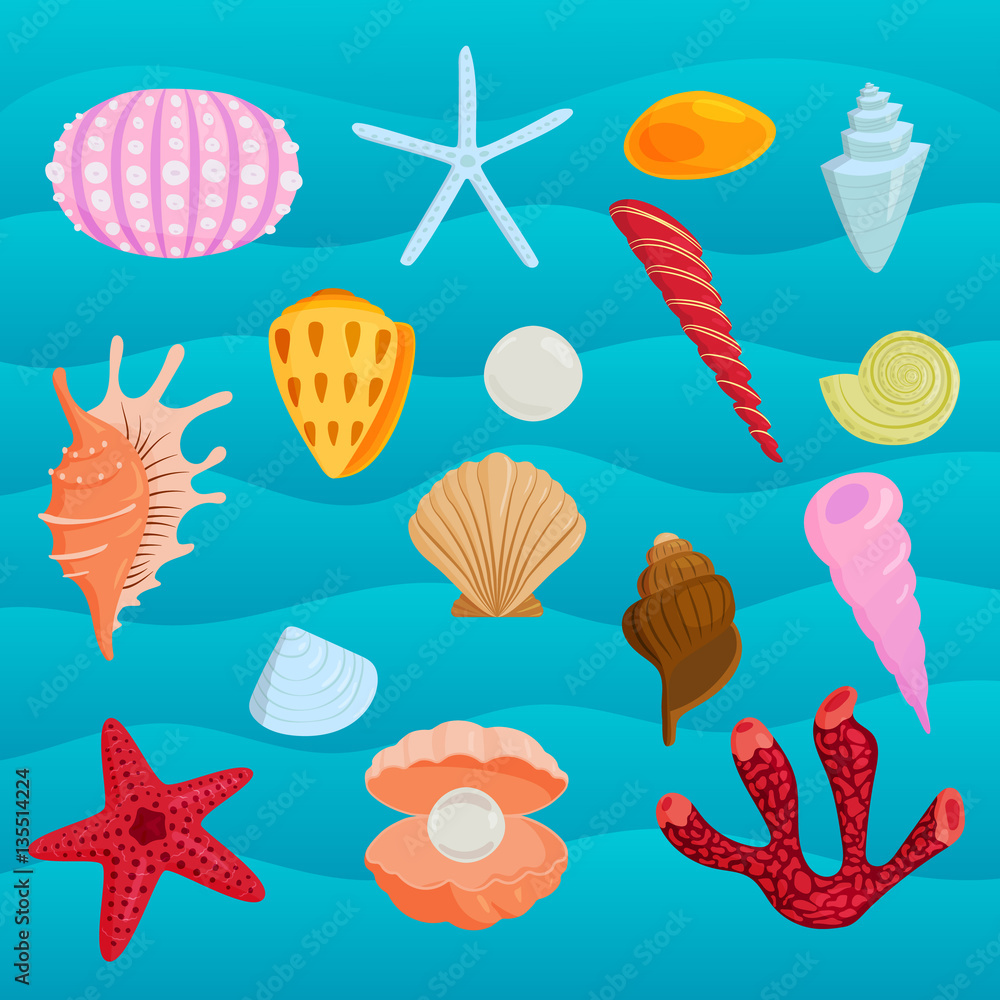 Sea marine animals and shells vector illustration.