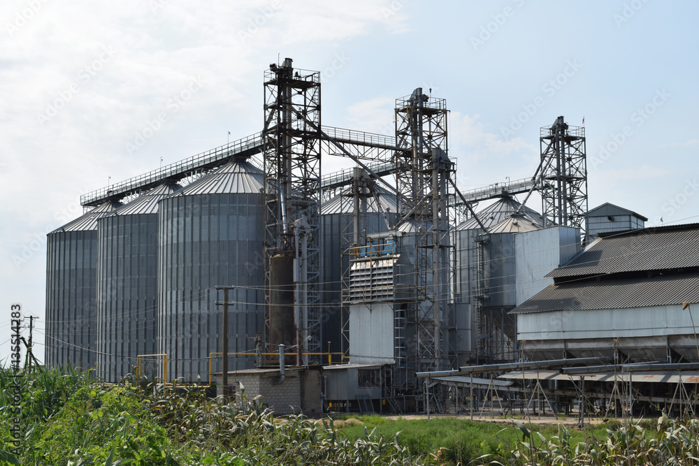 Plant for the drying and storage of grain Plant for the drying and storage of grain
