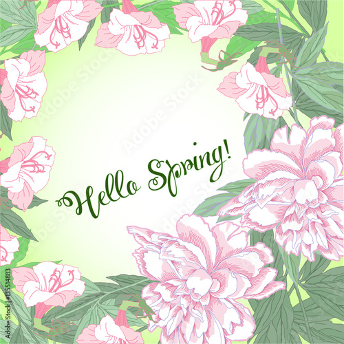 Spring background with white and pink peony