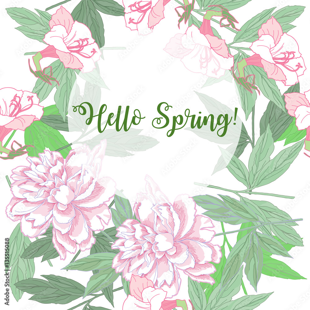 Spring  background  with pink peonies and flowers. 