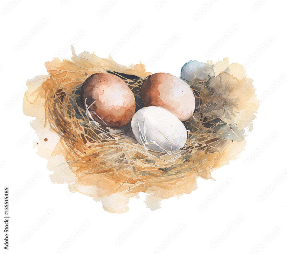 Eggs in the nest watercolor painting illustration isolated on white