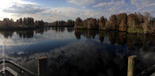 Lettuce Lake Park, Tampa, FL