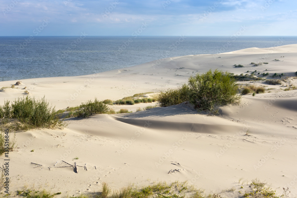 Sand dunes of the russian part Curonian Spit in autumn. It is a 98 km long curved sand-dune spit that separates the Curonian Lagoon from the Baltic Sea coast. It is a UNESCO World Heritage Site.