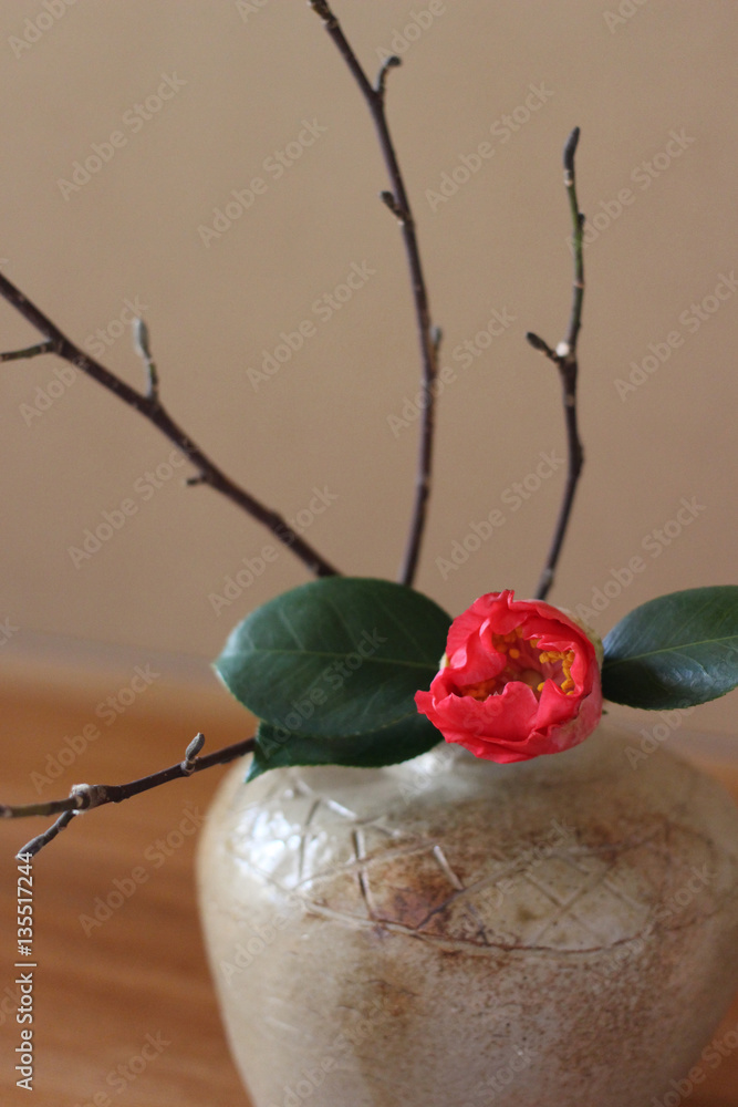 和室 床の間の花 クローズアップ Stock Photo Adobe Stock