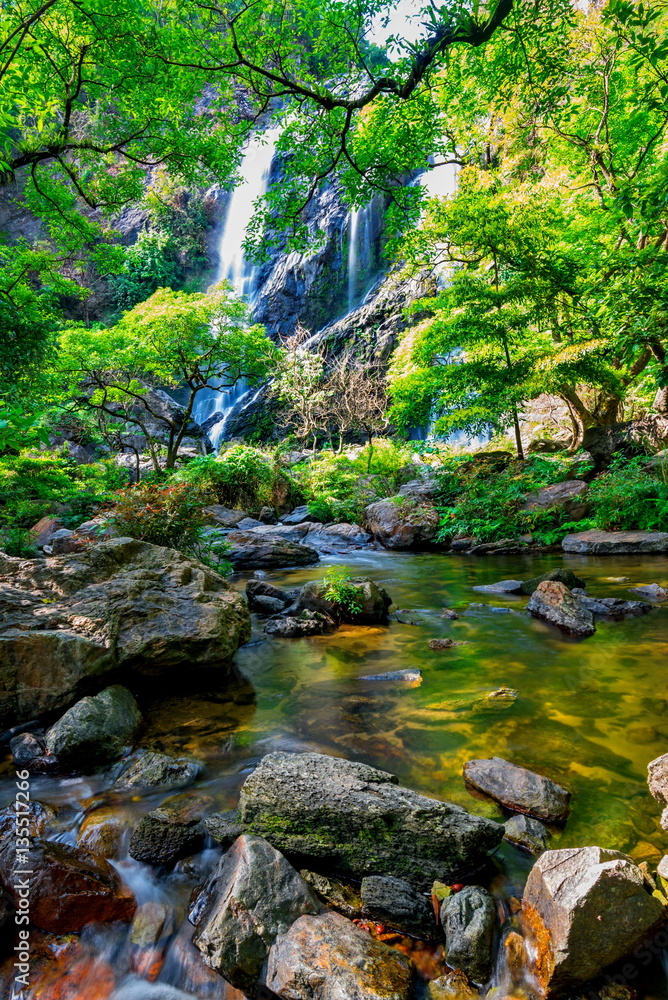 beautiful tropical rain forest and waterfall in deep forest beautiful tropical rain forest and waterfall in deep forest