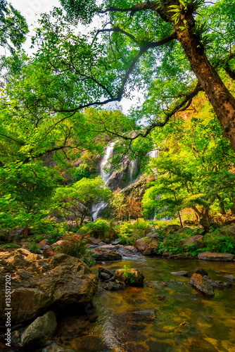 beautiful tropical rain forest and waterfall in deep forest