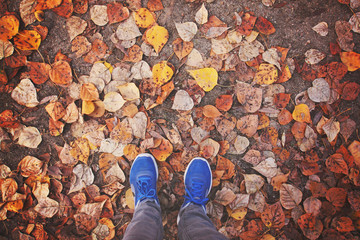 an overhead view of blue shoes in leaves during fall or autumn t