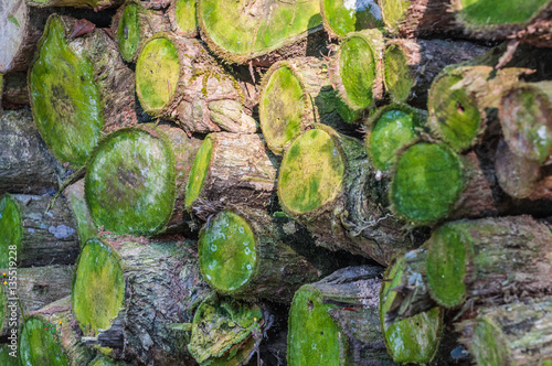 Close Up of firewood, closeup of chopped firewood. Firewood stacked, Natural wooden background