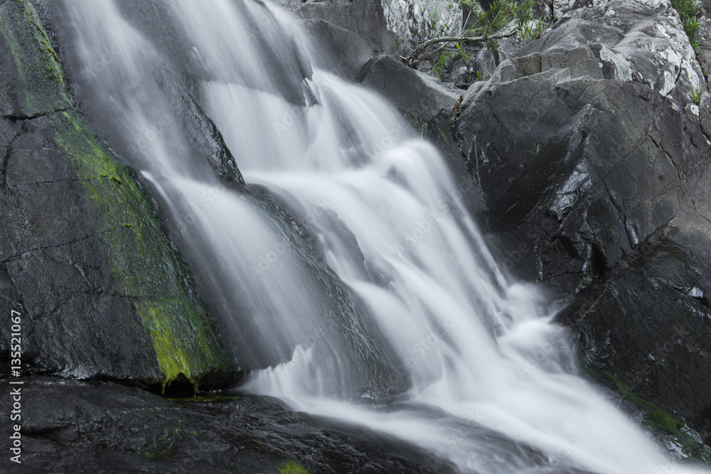 Fototapeta premium Cedar Creek waterfall in Mount Tambourine, Queensland.