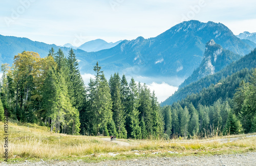 Kolbensattel near Oberammergau scenes photo