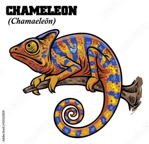chameleon in hand drawing style