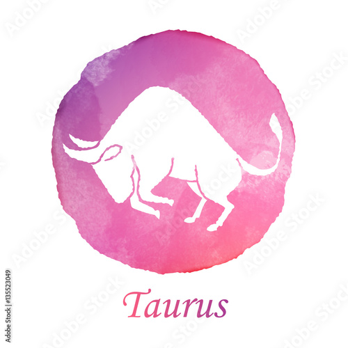 Color water symbol of bull to Taurus of zodiac and horoscope