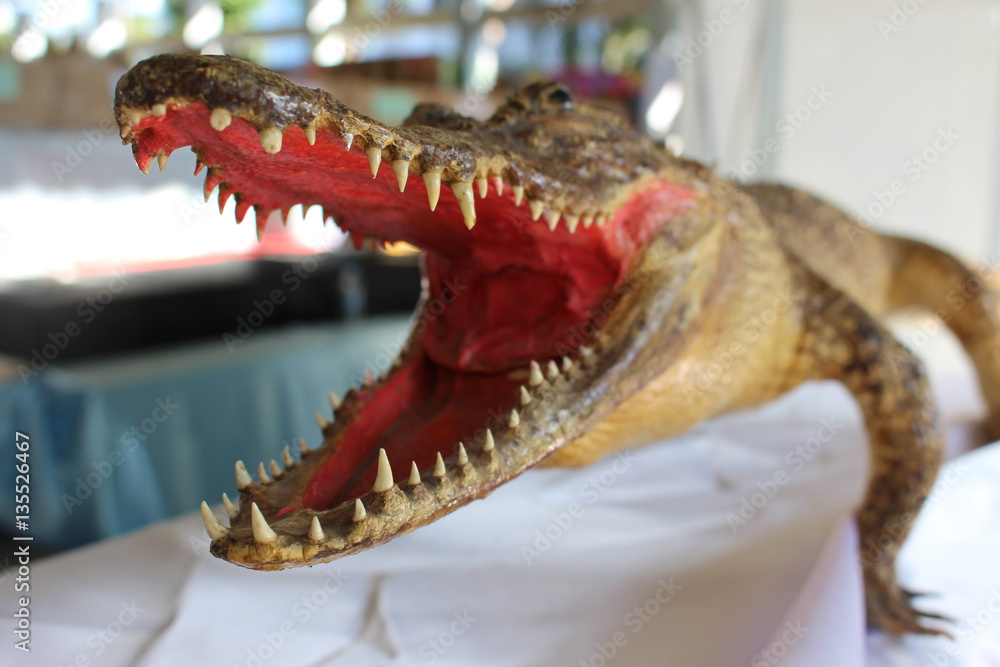 Obraz premium Crocodile's Jaws