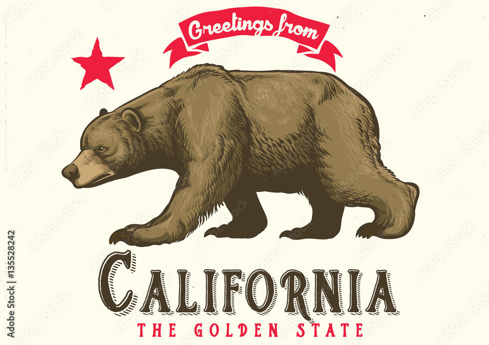 Naklejka premium greeting from california with brown bear