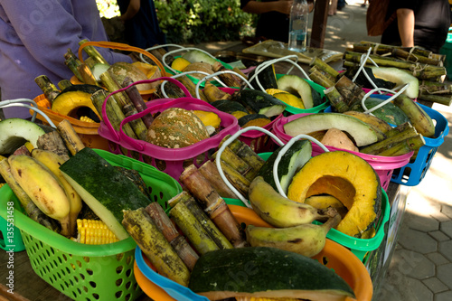 Many vegetable and fruit prepare for elephants.
