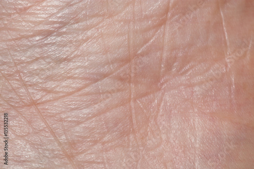 Wallpaper Mural Background of the human skin. macro Torontodigital.ca