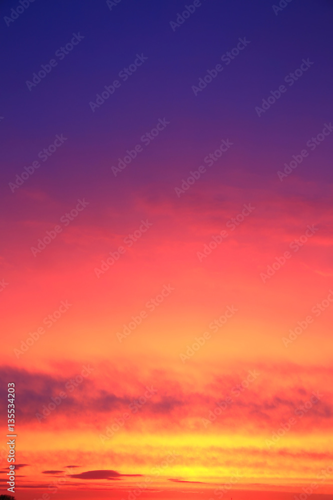 Fototapeta premium flame of sunset