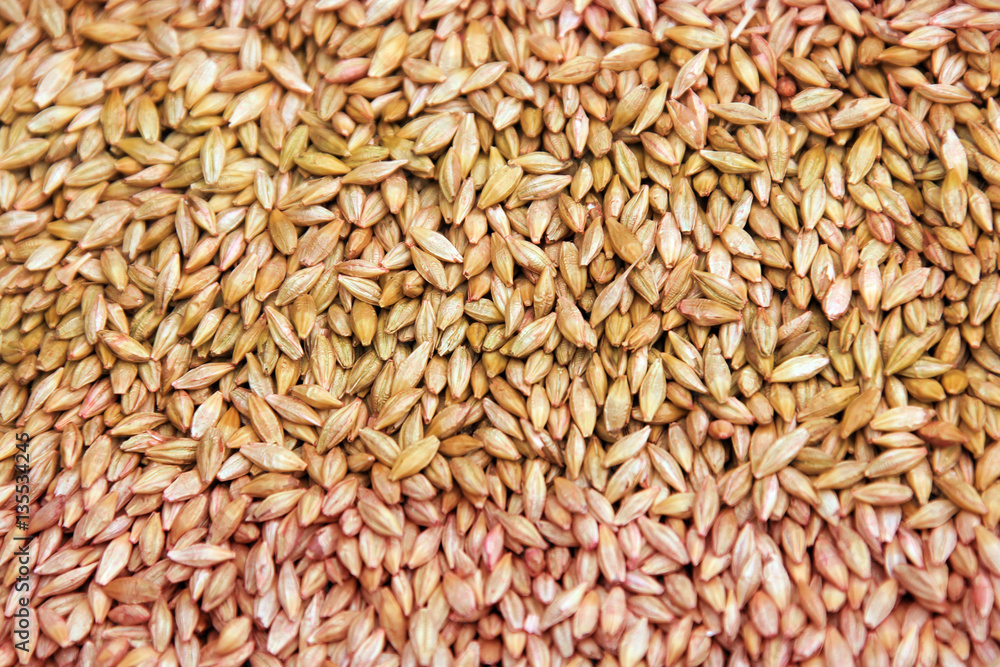 selected grain