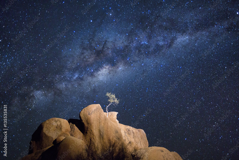 Tree on rock outcrop under Milky Way