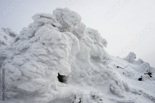 Wallpaper Mural 樹氷　魚沼八海山 Torontodigital.ca