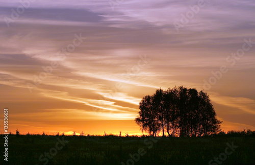 Fototapeta Naklejka Na Ścianę i Meble -  autumn sunset