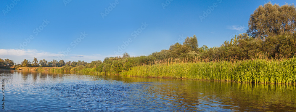 Panorama of a small river in Polesie a bright sunny summer day