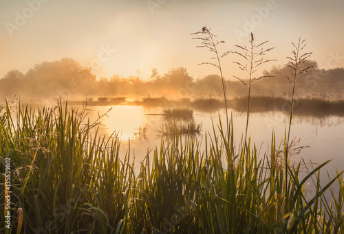 Foggy sunrise on a Teterev river in Polesie