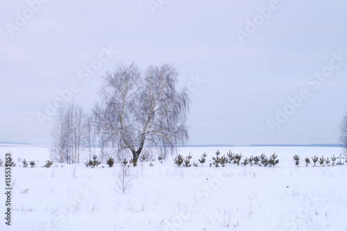 Winter walk in Sokolka photo